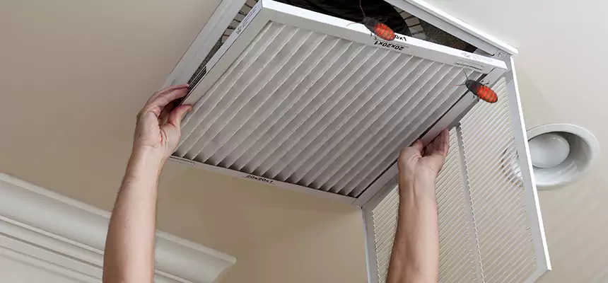 Preventive Cockroach-Proofing for Ducts in New City