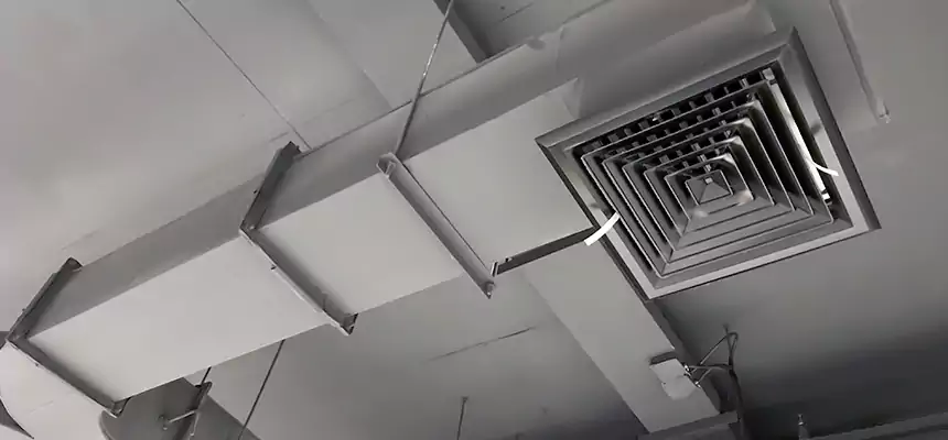 Restorative Allergy Relief Vent Cleaning – Coil, Blower & Housing Detail in New City