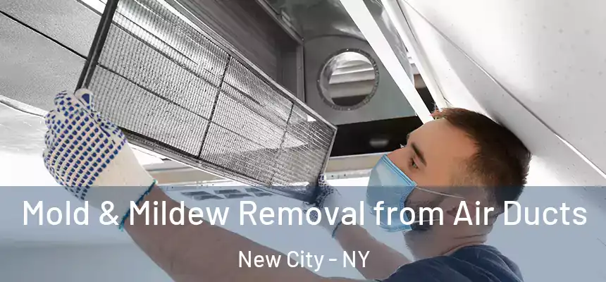 Mold & Mildew Removal from Air Ducts New City - NY