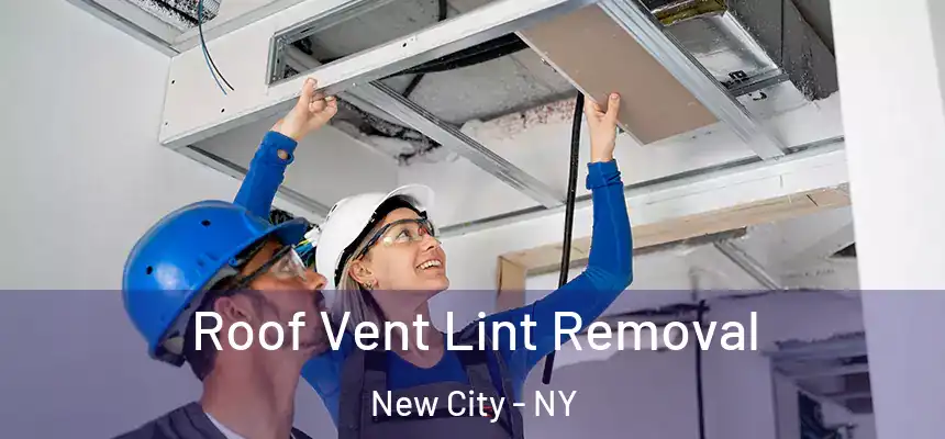  Roof Vent Lint Removal New City - NY