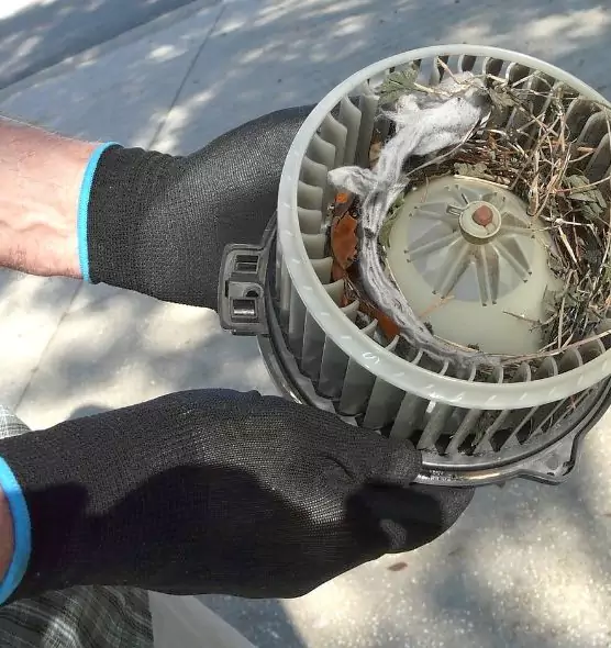 About Air Duct Mice Removal in New City, NY