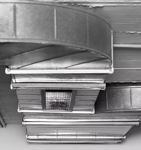 Professional Air Duct Pest Removal in New City, NY