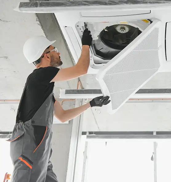 About Air Duct Rodent Removal in New City, NY