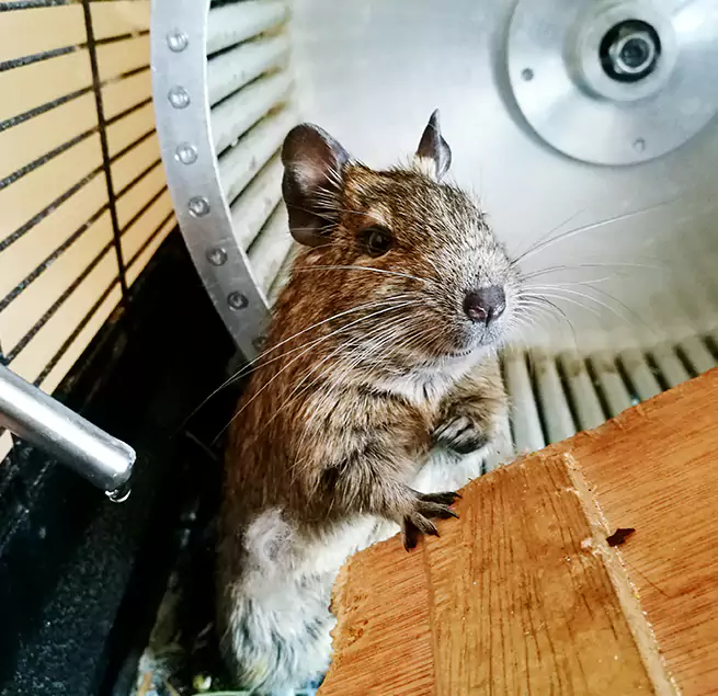 Why Homeowners & Businesses Trust Us New City, NY?