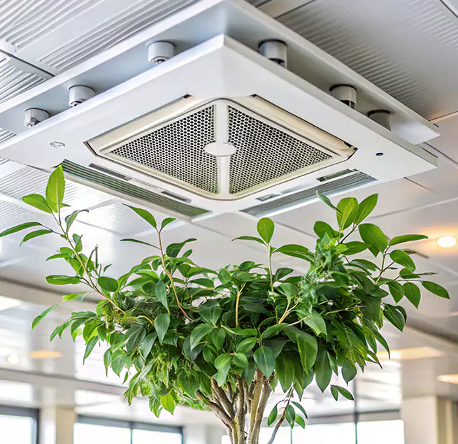 Why Homeowners & Businesses Trust Us in New City, NY?