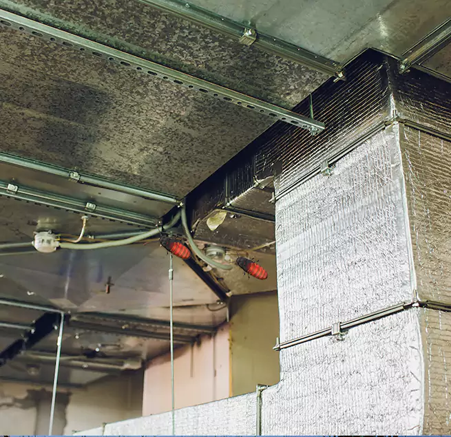 Why Homeowners & Businesses Trust Us New City, NY?